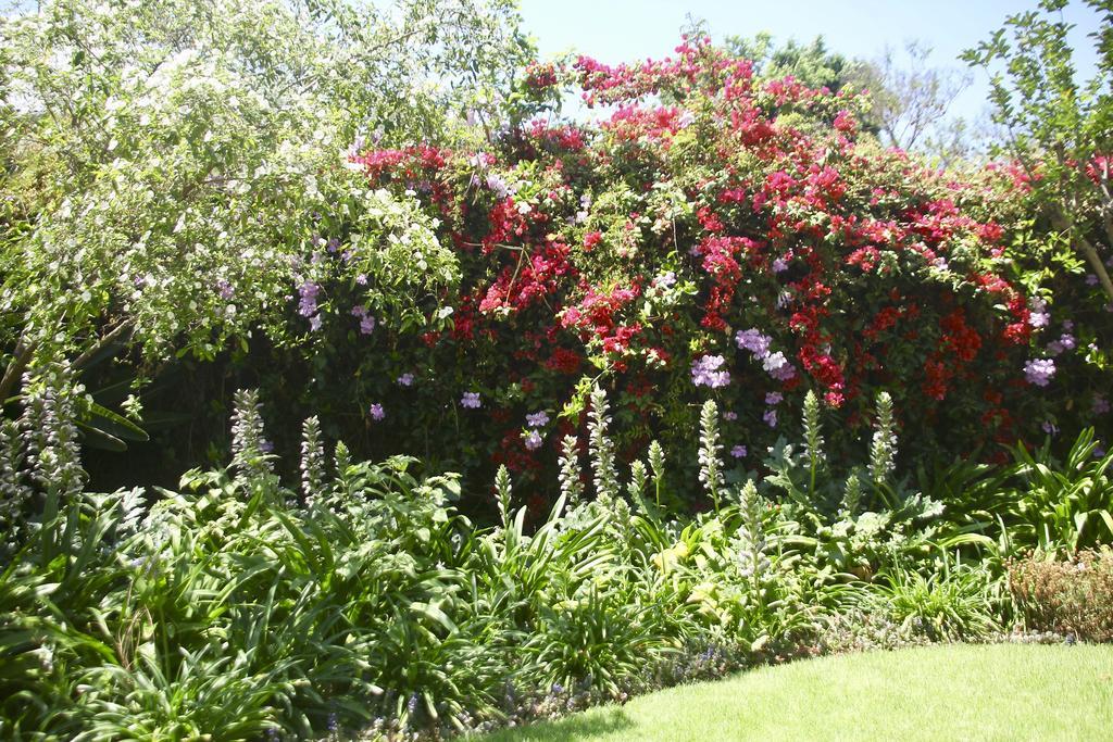 Melville Manor Guest House Johannesburg Esterno foto