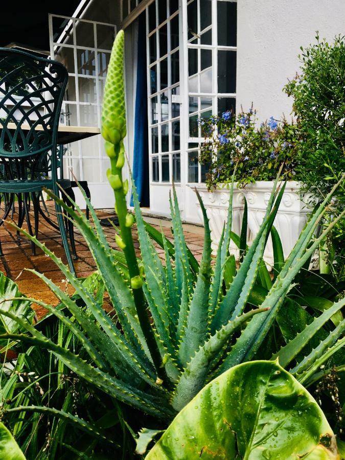 Melville Manor Guest House Johannesburg Esterno foto
